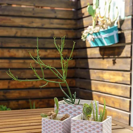 Terrazza Cirnauti Il Pieno Di Luce In Centro Citta شقة